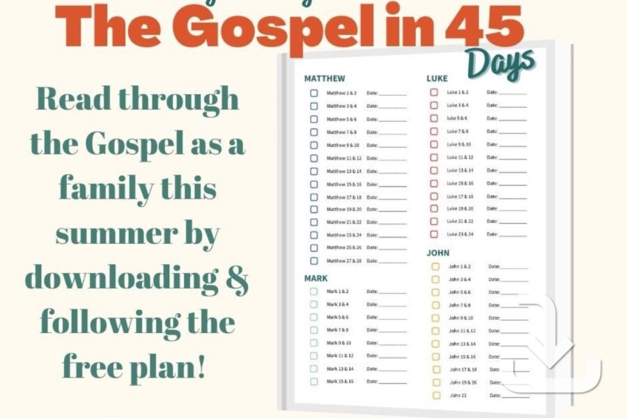 Gospels in 45 Days Summer Reading Plan